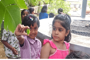 Top CBSE Schools in Bangalore 2025: Why Navkis Leads the List